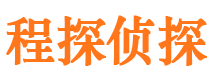 双桥市侦探